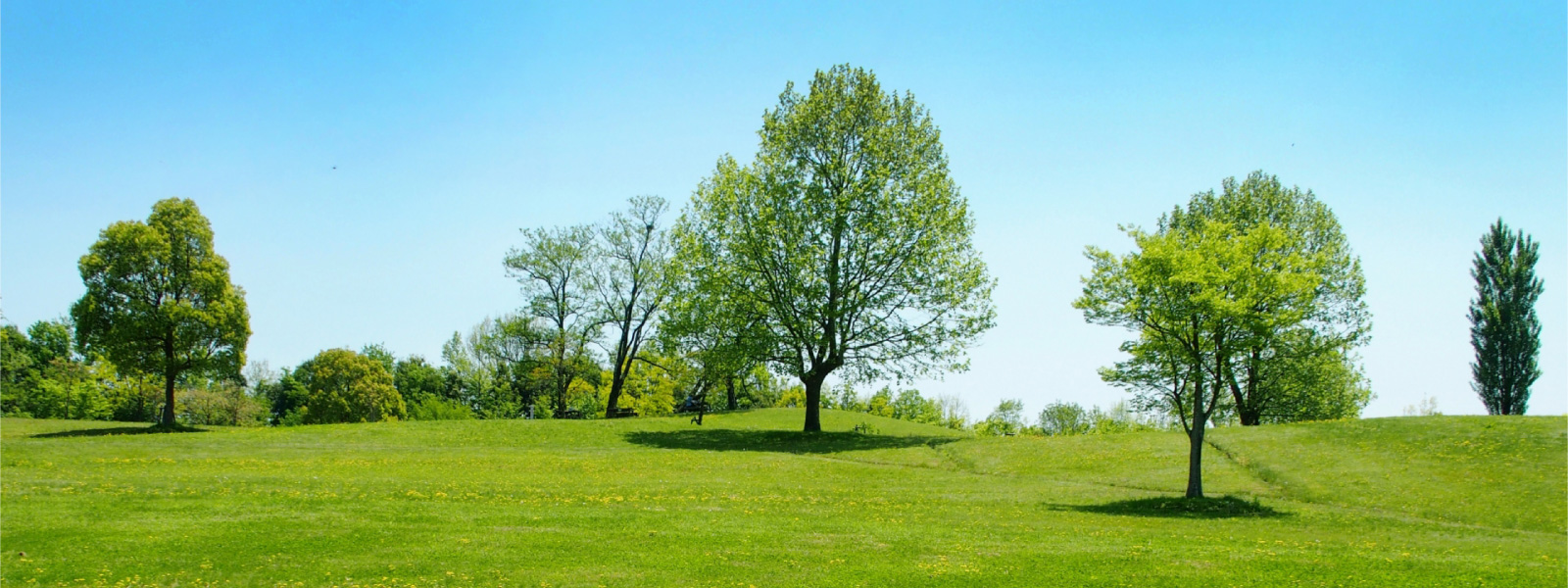 メインイメージ01