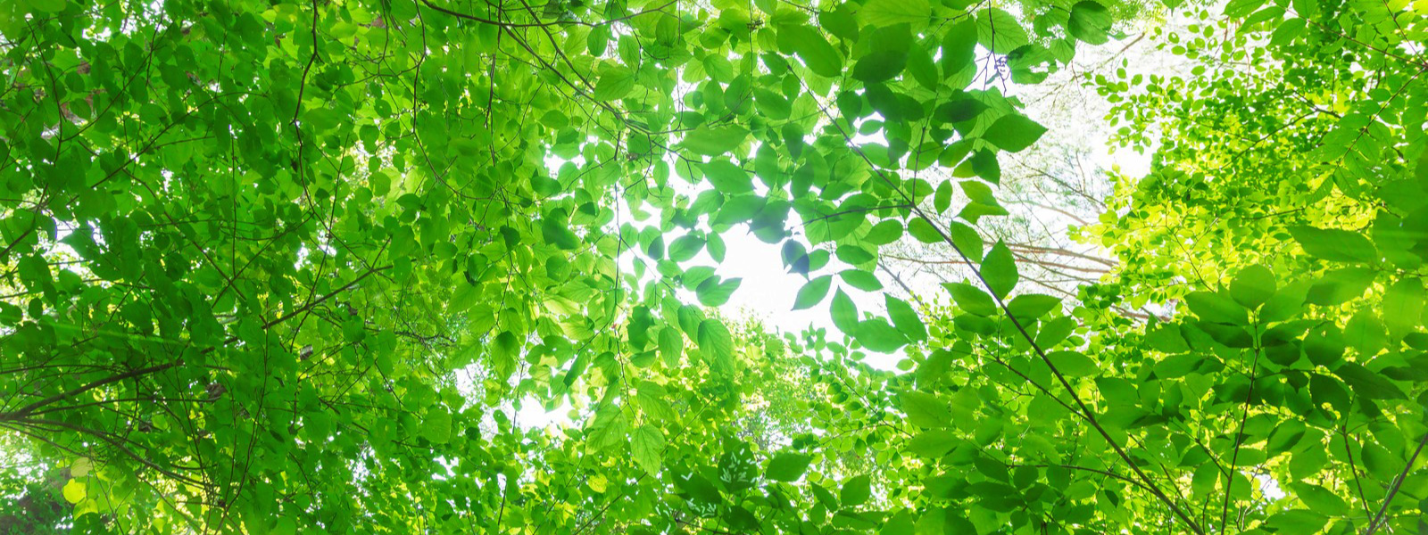 メインイメージ02